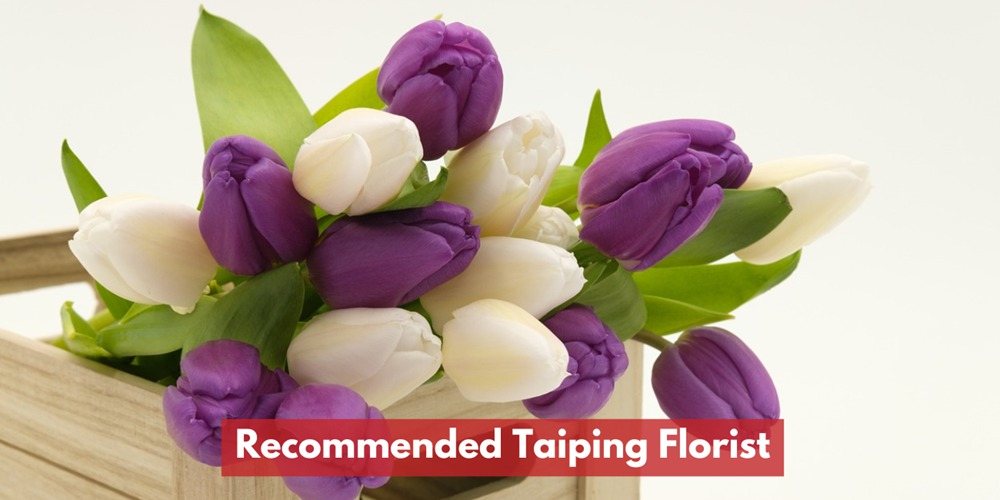 Recommended Taiping Florist